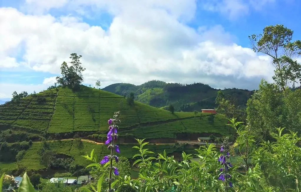 Winter Dream Holiday Bungalow Nuwara Eliya 0*,